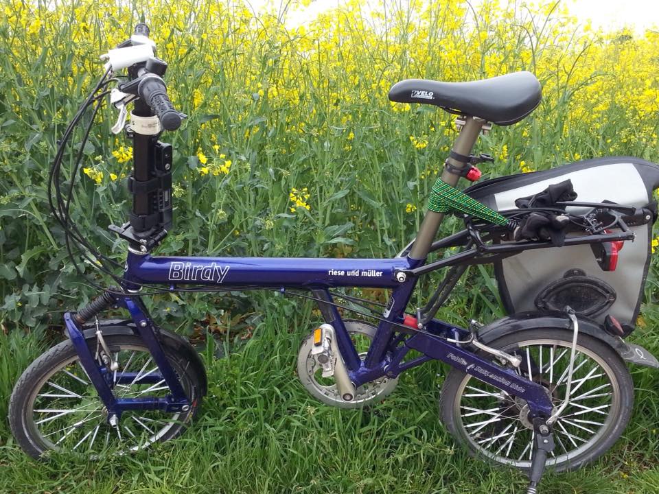 13092179_1170142809676990_4587531098147126151_n